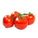 Tomate - مطيشة