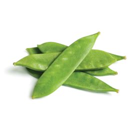 Pois mange-tout -  جلبانة تأكل كاملة