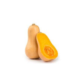  Courge Butternut - قرع الجوز