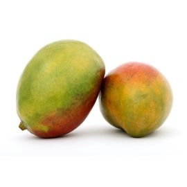 Mangue Import - مانغو
