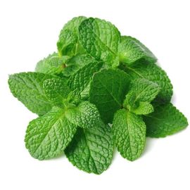 Menthe - نعناع