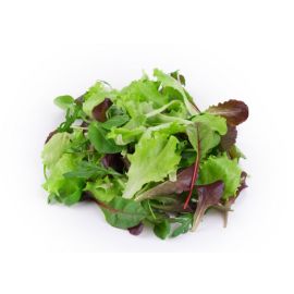 Mesclun De Salade - مسكلان سلاد