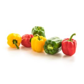 Mini Poivrons Mélange - فلفل صغير متنوع