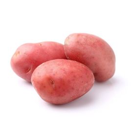 Pomme de terre rouge - البطاطس الحمراء