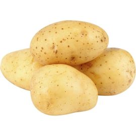Pomme De Terre Blanche - بطاطة بيضاء