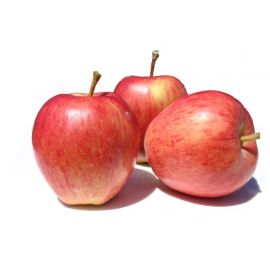 Pomme Royal Gala - تفاح غالا