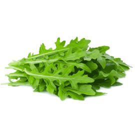 Roquette - الجرجير